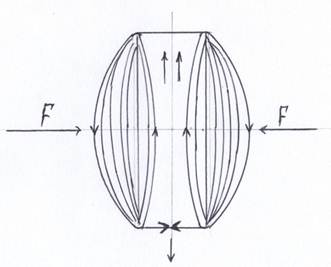 : : : : : 040